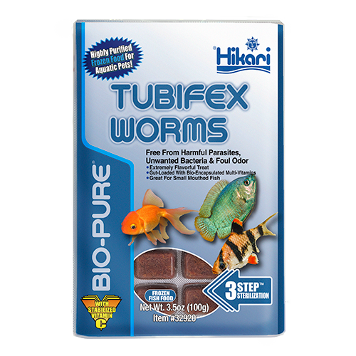 tubifex worms